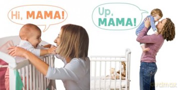 The I Can Say Mama Book (My First Learn-to-Talk Books) - Stephanie Cohen [KSIĄŻKA]