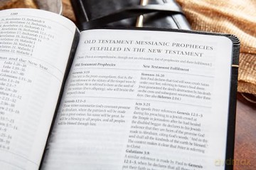 The Illuminated Messiah Bible: 66 Portraits of Jesus (Kjv) - Tim Gagnon [KSIĄŻKA]