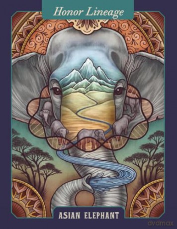 The Illustrated Bestiary Oracle Cards: 36-Card Deck of Inspiring Animals (Wild Wisdom) - Maia Toll [KSIĄŻKA]