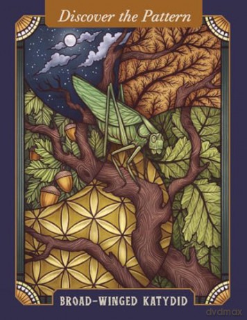 The Illustrated Bestiary Oracle Cards: 36-Card Deck of Inspiring Animals (Wild Wisdom) - Maia Toll [KSIĄŻKA]