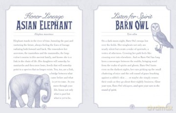 The Illustrated Bestiary Oracle Cards: 36-Card Deck of Inspiring Animals (Wild Wisdom) - Maia Toll [KSIĄŻKA]