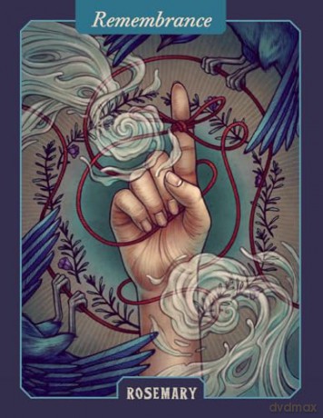 The Illustrated Herbiary Oracle Cards: 36-Card Deck of Bewitching Botanicals (Wild Wisdom) - Maia Toll [KSIĄŻKA]