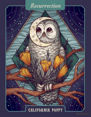 The Illustrated Herbiary Oracle Cards: 36-Card Deck of Bewitching Botanicals (Wild Wisdom) - Maia Toll [KSIĄŻKA]