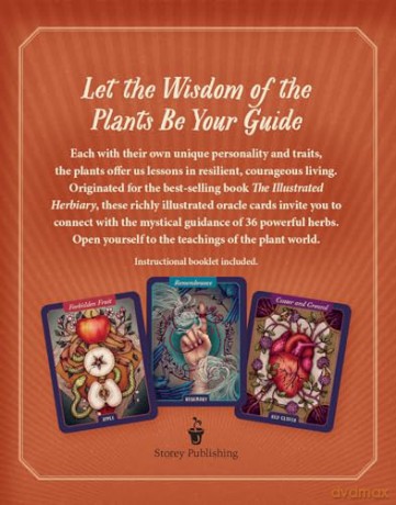The Illustrated Herbiary Oracle Cards: 36-Card Deck of Bewitching Botanicals (Wild Wisdom) - Maia Toll [KSIĄŻKA]
