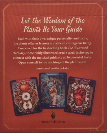 The Illustrated Herbiary Oracle Cards: 36-Card Deck of Bewitching Botanicals (Wild Wisdom) - Maia Toll [KSIĄŻKA]