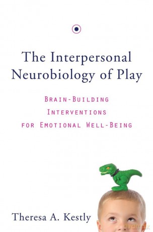 The Interpersonal Neurobiology of Play - Brain-Building Interventions for Emotional Well-Being: 0 (Norton Series on Interpersonal Neurobiology (Hardcover)) - Terry Pratchett [KSIĄŻKA]