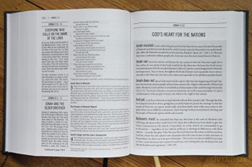 The Jesus Bible, ESV Edition, Cloth over Board, Grey: English Standard Version, Charcoal, Cloth over Board - Rory Carroll [KSIĄŻKA]