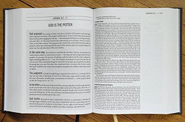 The Jesus Bible, ESV Edition, Cloth over Board, Grey: English Standard Version, Charcoal, Cloth over Board - Rory Carroll [KSIĄŻKA]