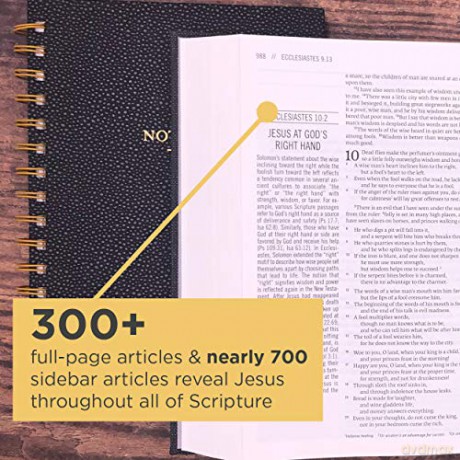 The Jesus Bible, ESV Edition, Cloth over Board, Grey: English Standard Version, Charcoal, Cloth over Board - Rory Carroll [KSIĄŻKA]