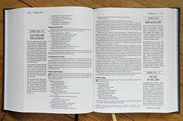 The Jesus Bible, ESV Edition, Cloth over Board, Grey: English Standard Version, Charcoal, Cloth over Board - Rory Carroll [KSIĄŻKA]