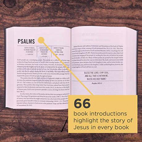 The Jesus Bible, ESV Edition, Cloth over Board, Grey: English Standard Version, Charcoal, Cloth over Board - Rory Carroll [KSIĄŻKA]