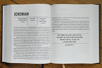 The Jesus Bible, ESV Edition, Cloth over Board, Grey: English Standard Version, Charcoal, Cloth over Board - Rory Carroll [KSIĄŻKA]