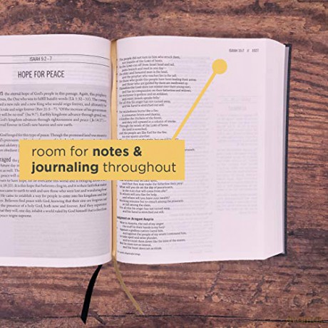 The Jesus Bible, ESV Edition, Cloth over Board, Grey: English Standard Version, Charcoal, Cloth over Board - Rory Carroll [KSIĄŻKA]
