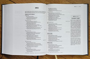 The Jesus Bible, ESV Edition, Cloth over Board, Grey: English Standard Version, Charcoal, Cloth over Board - Rory Carroll [KSIĄŻKA]