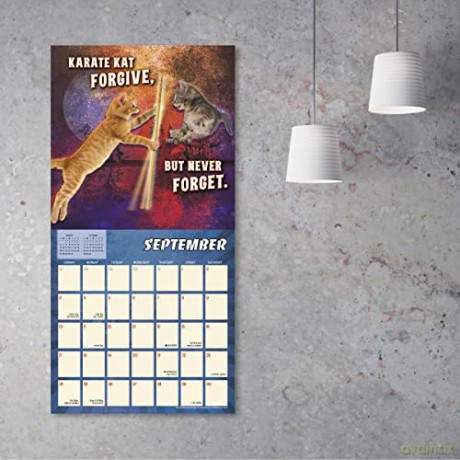 The Karate Kat September 2022-December 2023 Calendar (WALL 16 MONTH) [KALENDARZ]