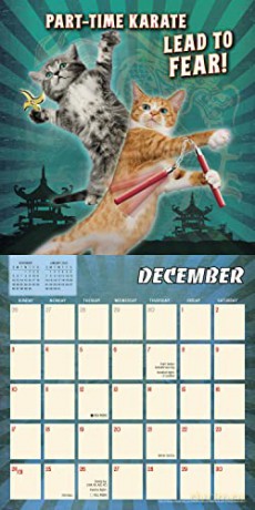The Karate Kat September 2022-December 2023 Calendar (WALL 16 MONTH) [KALENDARZ]