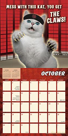 The Karate Kat September 2022-December 2023 Calendar (WALL 16 MONTH) [KALENDARZ]