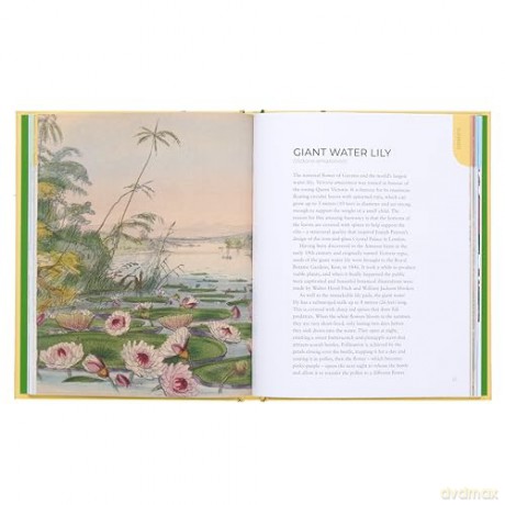 The Kew Gardens Nature Journal: Enjoy the Beauty of the Natural World - Felicity Forster [KALENDARZ]