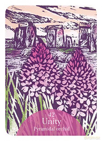 The Language of Flowers Oracle: Sacred botanical guidance and support (Rockpool Oracle Card) - Cheralyn Darcey [KSIĄŻKA]
