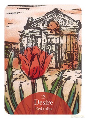 The Language of Flowers Oracle: Sacred botanical guidance and support (Rockpool Oracle Card) - Cheralyn Darcey [KSIĄŻKA]