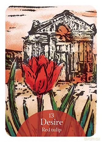 The Language of Flowers Oracle: Sacred botanical guidance and support (Rockpool Oracle Card) - Cheralyn Darcey [KSIĄŻKA]