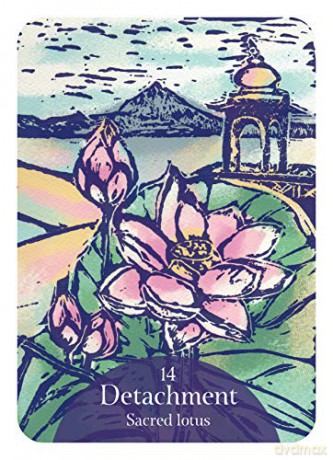 The Language of Flowers Oracle: Sacred botanical guidance and support (Rockpool Oracle Card) - Cheralyn Darcey [KSIĄŻKA]