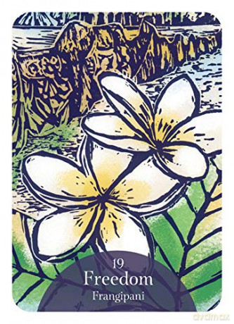 The Language of Flowers Oracle: Sacred botanical guidance and support (Rockpool Oracle Card) - Cheralyn Darcey [KSIĄŻKA]