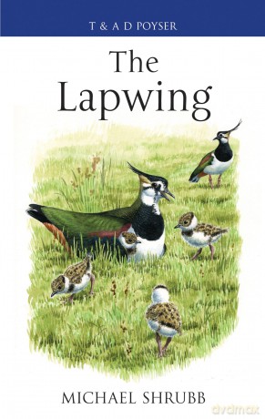 The Lapwing (Poyser Monographs) - Michael Shrubb [KSIĄŻKA]