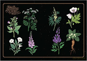 The League of Lady Poisoners: Illustrated True Stories of Dangerous Women - Lisa Perrin [KSIĄŻKA]