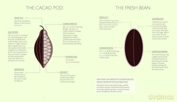 The Little Book of Chocolate: Desserts: Make Your Own Desserts at Home - Melanie Dupuis [KSIĄŻKA]