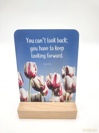 The Little Box of Confidence: 52 Beautiful Cards of Uplifting Quotes and Empowering Affirmations [KSIĄŻKA]