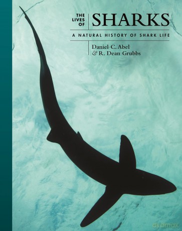 The Lives of Sharks: A Natural History of Shark Life: 7 (The Lives of the Natural World, 7) - Daniel Abel [KSIĄŻKA]
