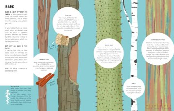 The Lives of Trees - Massimo Domenica Novellino [KSIĄŻKA]