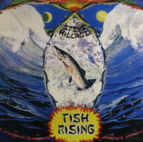 Steve Hillage: Fish Rising [WINYL]