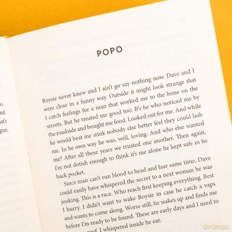 The Lost Love Songs of Boysie Singh: FROM THE WINNER OF THE COSTA FIRST NOVEL AWARD - Ingrid Persaud [KSIĄŻKA]