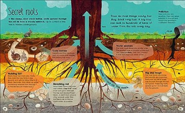 The Magic and Mystery of Nature Collection (The Magic and Mystery of the Natural World) - Jen Et Al Green [KSIĄŻKA]