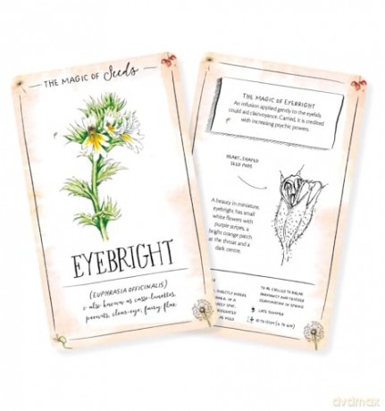 The Magic of Seeds Card Deck: An inspiration deck for nature lovers - Clare Gogerty [KSIĄŻKA]