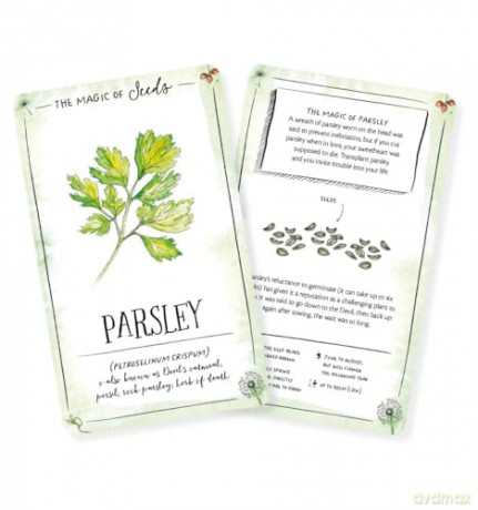 The Magic of Seeds Card Deck: An inspiration deck for nature lovers - Clare Gogerty [KSIĄŻKA]