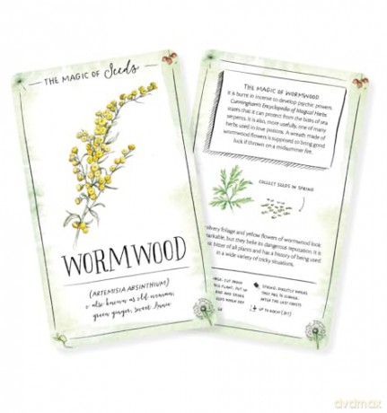 The Magic of Seeds Card Deck: An inspiration deck for nature lovers - Clare Gogerty [KSIĄŻKA]