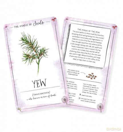 The Magic of Seeds Card Deck: An inspiration deck for nature lovers - Clare Gogerty [KSIĄŻKA]