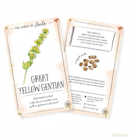 The Magic of Seeds Card Deck: An inspiration deck for nature lovers - Clare Gogerty [KSIĄŻKA]