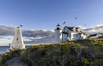 The Maine House II - Maura McEvoy [KSIĄŻKA]