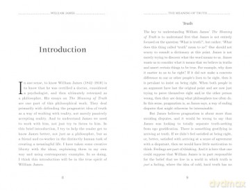The Meaning of Truth (Concise Edition) (Foundations) - William James [KSIĄŻKA]