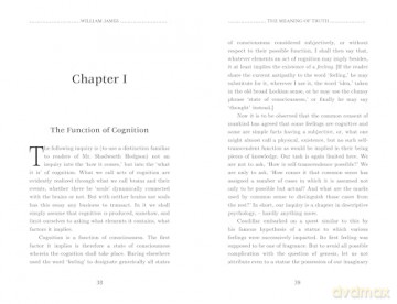 The Meaning of Truth (Concise Edition) (Foundations) - William James [KSIĄŻKA]