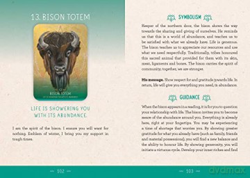 The Medicine Woman Oracle: Discover the archetypes of the divine feminine - Catherine Maillard [KSIĄŻKA + KARTY]
