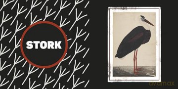 The Met Black and White: A High Contrast Book of Art (DK The Met) - Dk [KSIĄŻKA]