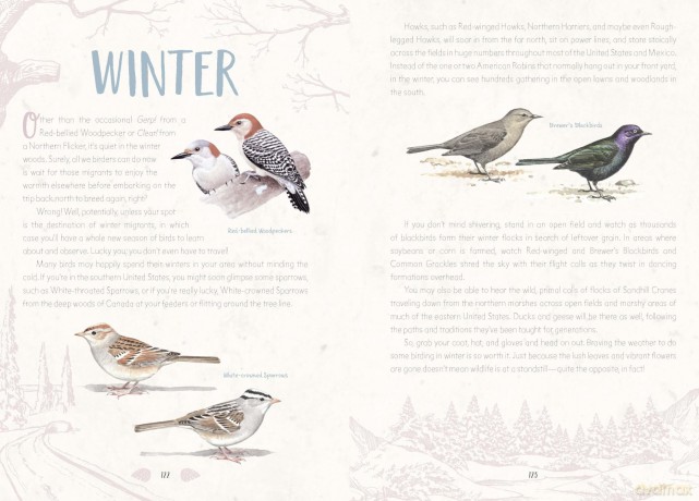 The Mindful Birder's Journal: Record Your Observations of the Winged World - Keith Paluso III [KALENDARZ]