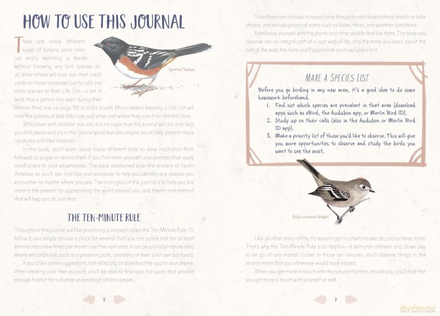 The Mindful Birder's Journal: Record Your Observations of the Winged World - Keith Paluso III [KALENDARZ]
