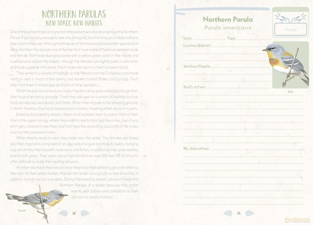 The Mindful Birder's Journal: Record Your Observations of the Winged World - Keith Paluso III [KALENDARZ]
