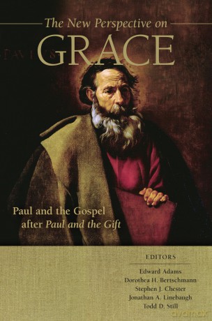 The New Perspective on Grace: Paul and the Gospel After Paul and the Gift - Edward Adams [KSIĄŻKA]